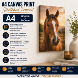 A4 Canvas Print & Frame