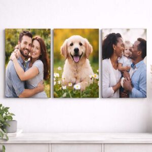 3 Piece Canvas Combo