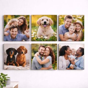 6 Piece Canvas Combo